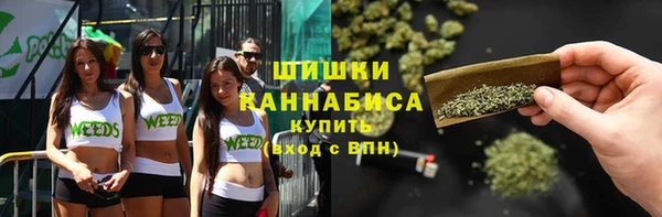 дмт Богородицк