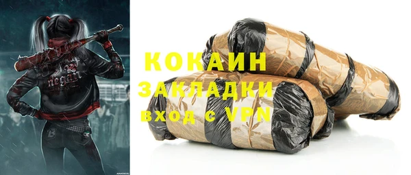 шишки Осинники