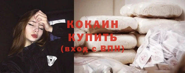 тгк Богданович