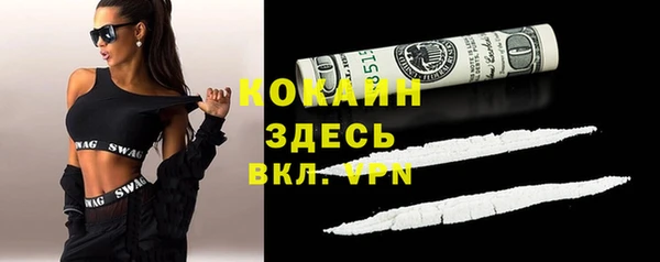 дмт Богородицк