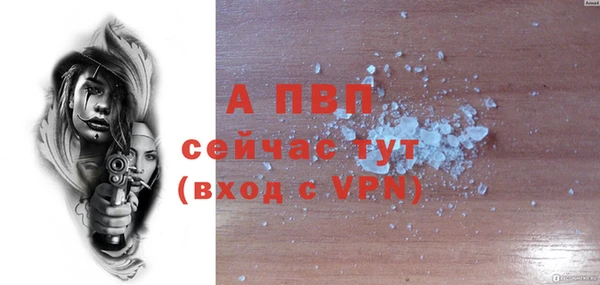 дмт Богородицк