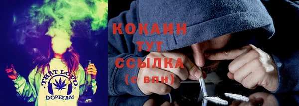 тгк Богданович