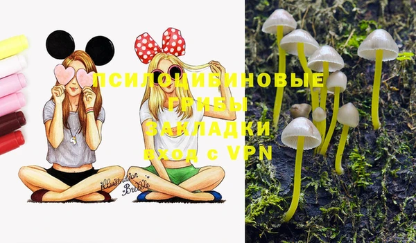 тгк Богданович